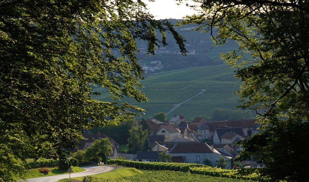 Villa Gite Du " Bas Du Cru " Romery  Exterior foto